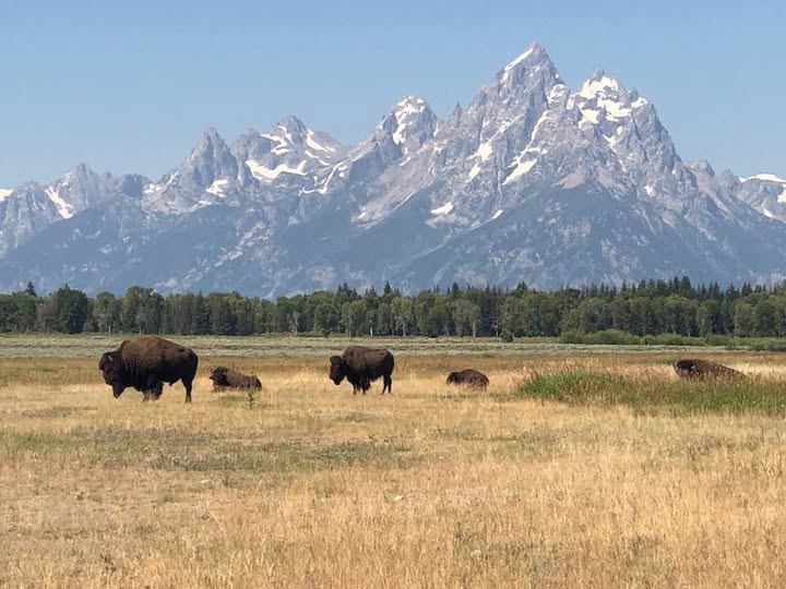 Wyoming